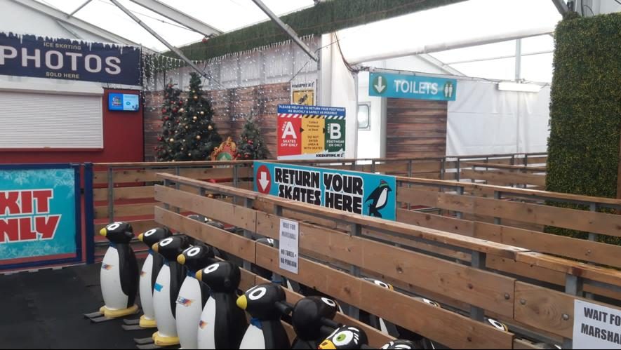 ice rink penguins