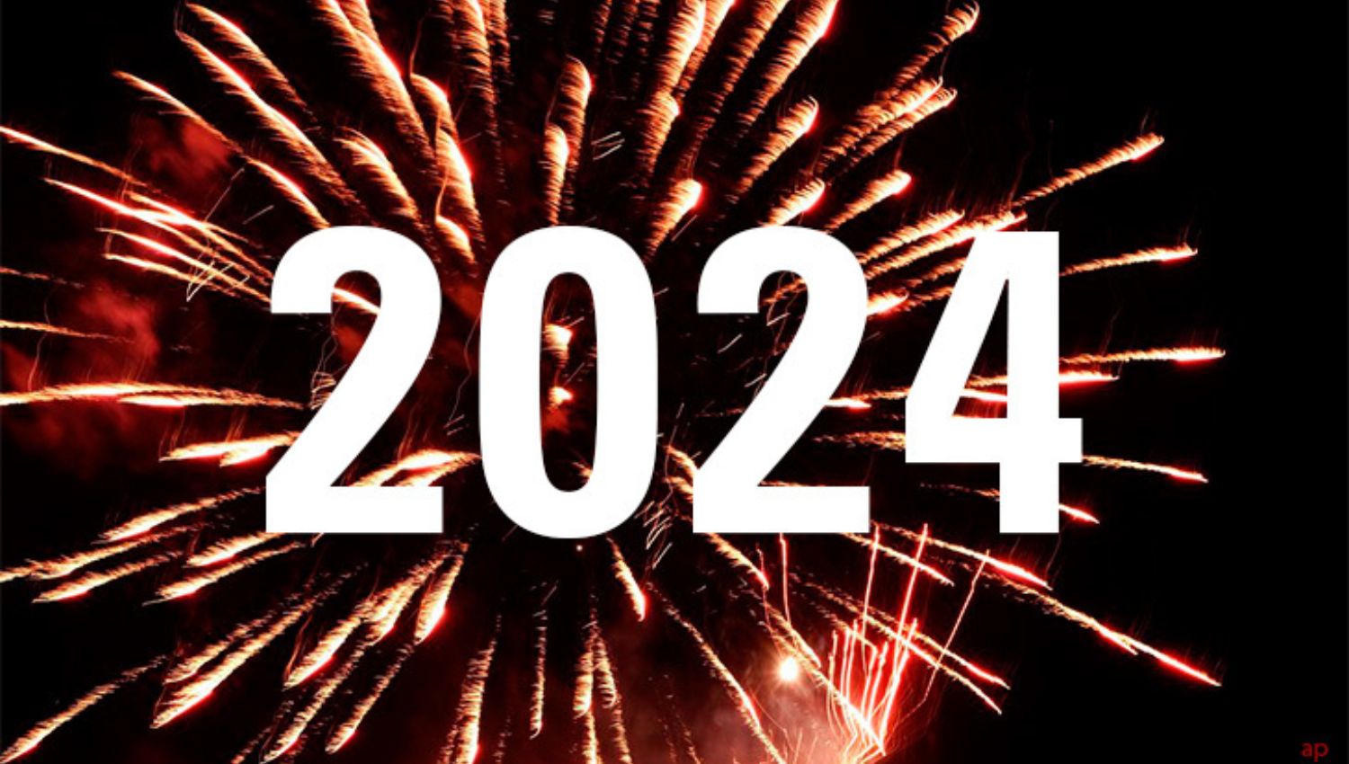 What did 2024 look like for a growing British business?